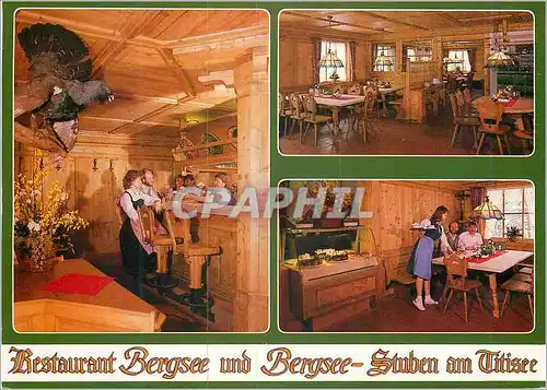Cartes postales moderne Restaurant Bergsee