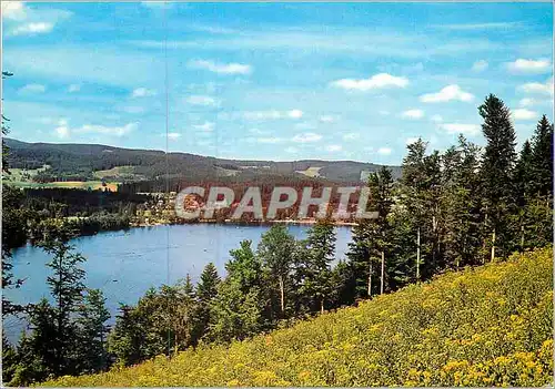 Moderne Karte Titisee im Hochschwarzwald