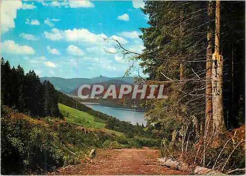 Cartes postales moderne Blick zum Feldberg