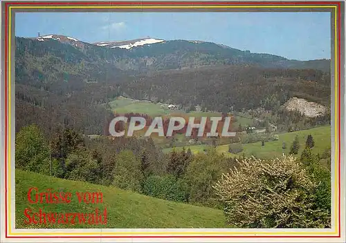 Cartes postales moderne Grusse vom Schwarzwald