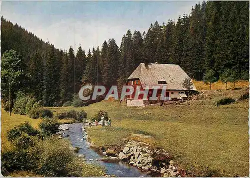 Cartes postales moderne Bauernhof im Schwarzwald