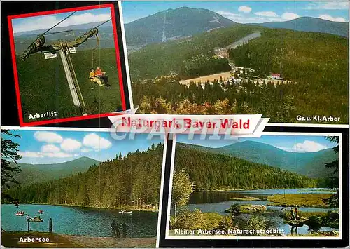 Cartes postales moderne Naturpark Bayer.Wald