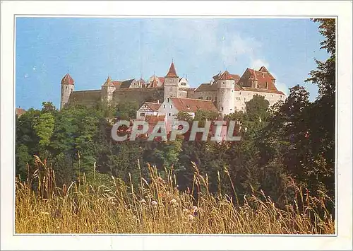 Cartes postales moderne Le Chateau fort d'Harburg