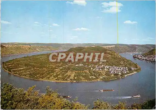 Cartes postales moderne Rheinschleife