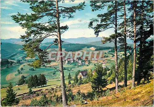 Cartes postales moderne Salg Hochschwarzwald