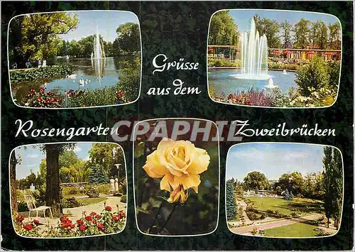 Cartes postales moderne Rosengarten Zweibrucken