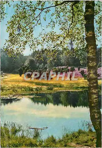 Cartes postales moderne Heide