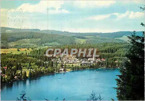 Cartes postales moderne Titisee