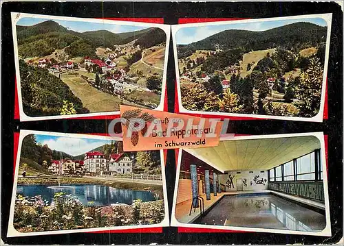 Cartes postales moderne Bad Rippoldsau