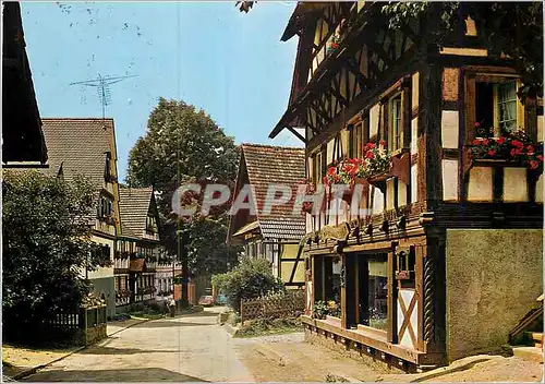 Cartes postales moderne SasBachwalden