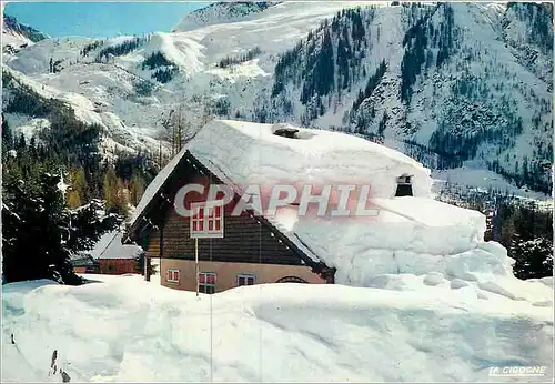 Cartes postales moderne Chalet amon the Fir-Trees