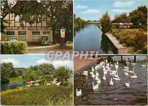 Cartes postales moderne Restaurand und Caf�-Zum alten Albrechts Teerofen