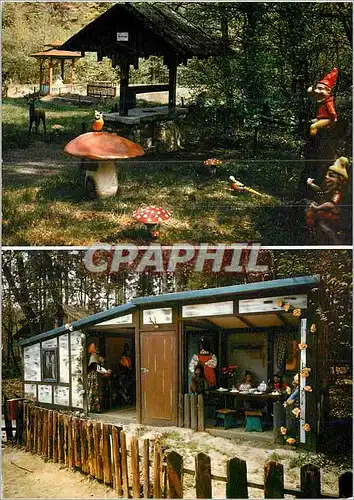 Cartes postales moderne Murchengarten - Forellangut Champignon Nain