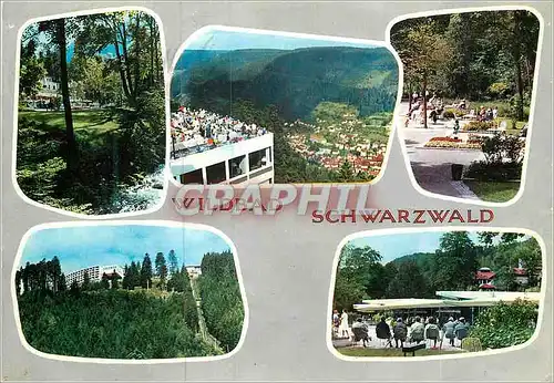 Cartes postales moderne Wildbad panorama