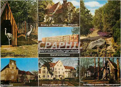 Cartes postales moderne Schonstes Ausflugsziel