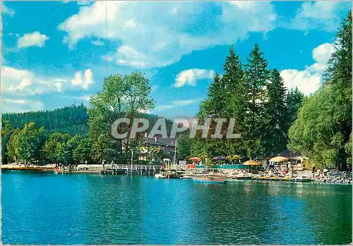 Cartes postales moderne Titisee