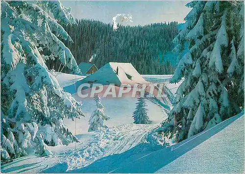 Cartes postales moderne Winter