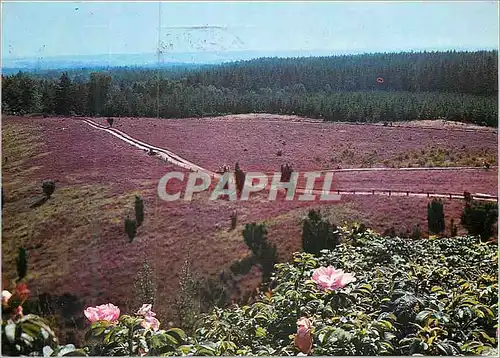 Cartes postales moderne Totengrund Naturschutzgebiet