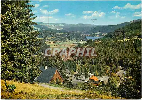Cartes postales moderne Titisee