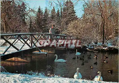 Cartes postales moderne Kurpark