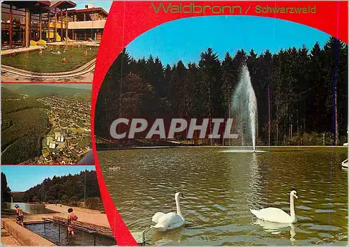 Cartes postales moderne Waldbronn