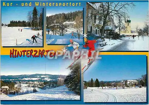 Cartes postales moderne Winter in Hinterzarten