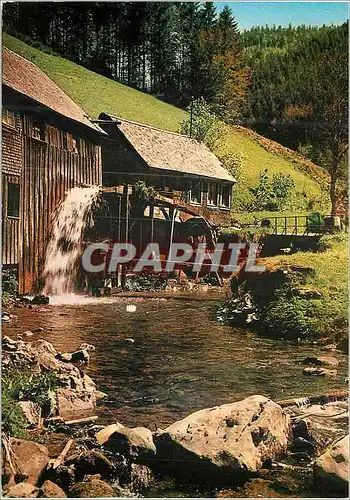 Cartes postales moderne Sagemuhle im Hexenloch Schwarzwald