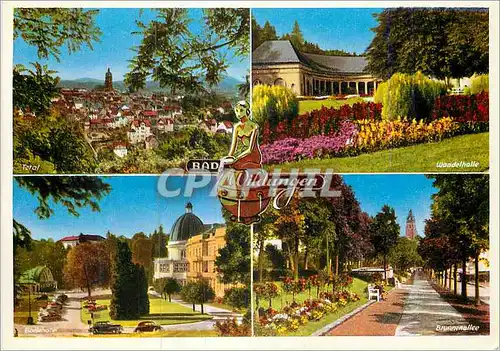 Cartes postales moderne Bad Wildungen panorama