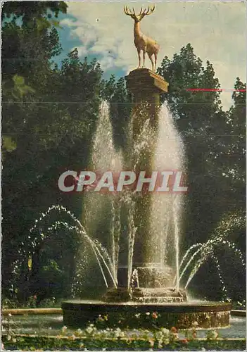 Cartes postales Hirsch im Stadtpark