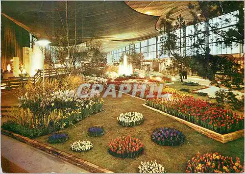 Cartes postales Grune Woche