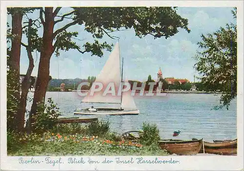 Cartes postales moderne Insel Hasselwerder