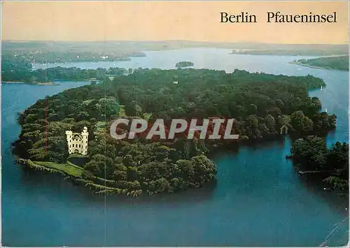 Cartes postales moderne Insel Pfauen Potsdam