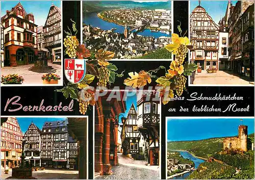 Cartes postales moderne Bernkastel panorama Mosel