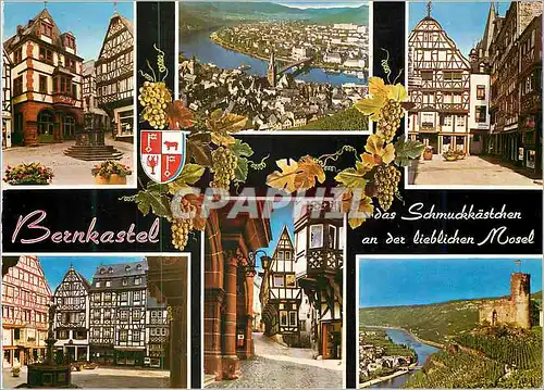 Cartes postales moderne Bernkastel Panorama Mosel