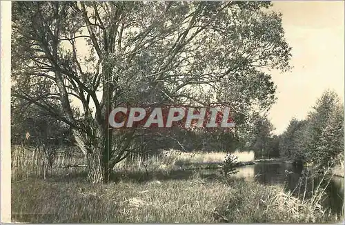 Cartes postales Pojezierze Mazurskie Krakow