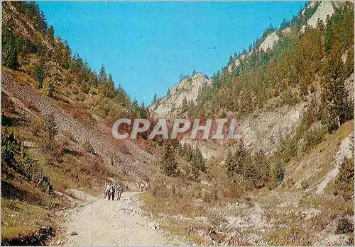 Cartes postales moderne Pieniny Wawoz Scopczanski