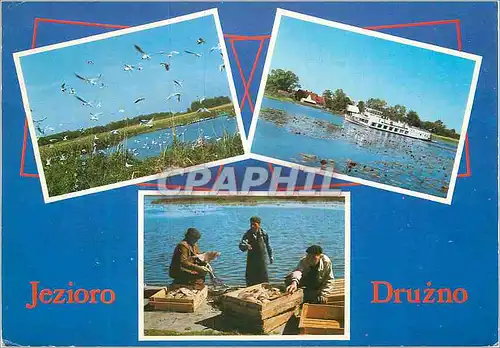 Cartes postales moderne Jezioro Druzno