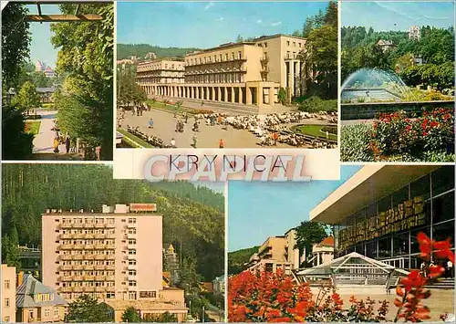 Cartes postales moderne Krynica Panorama