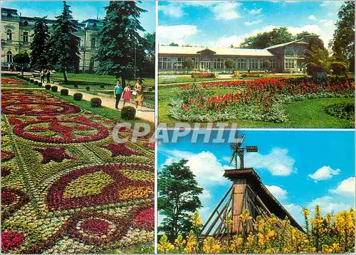 Cartes postales moderne Dywan Kwiatowy Ciechocinek