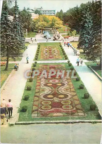 Cartes postales moderne Dywan Kwiatowy Ciechocinek