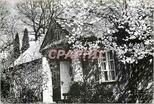 Cartes postales moderne Dom Fryderyka Chopina Zelazowa Wola