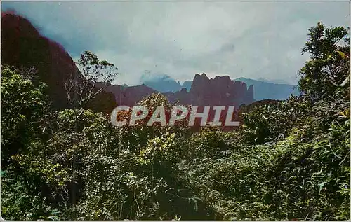 Cartes postales moderne Mont Aorai Tahiti