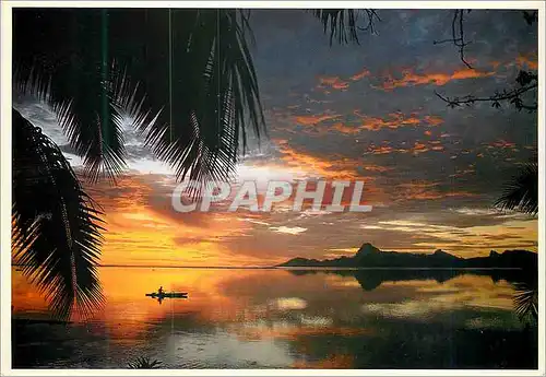 Cartes postales moderne Coucher de Soleil sur Moorea