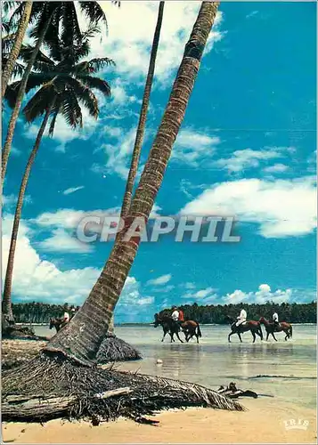 Moderne Karte Horse Riding Moorea