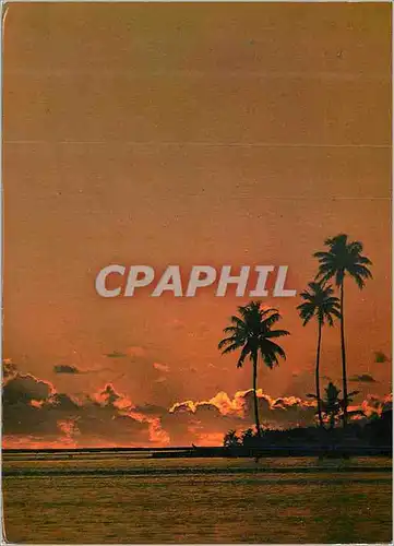 Cartes postales moderne Motu-Tapu Bora-Bora