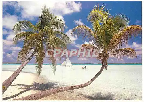Cartes postales moderne Beautiful landscape of Tahiti