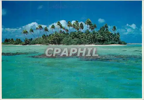 Cartes postales moderne Dream island Tuamotu