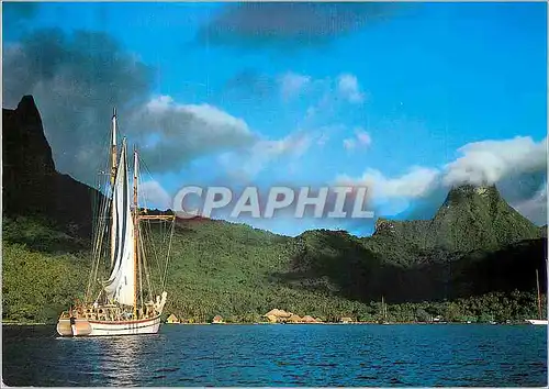 Cartes postales moderne Cook's Bay Moorea