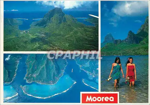 Cartes postales moderne Le Mont Rotui Moorea