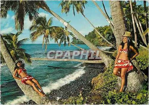 Cartes postales moderne Joy of living Tahiti